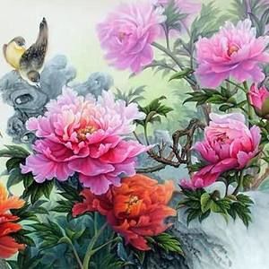 Meet your Posher, Ann